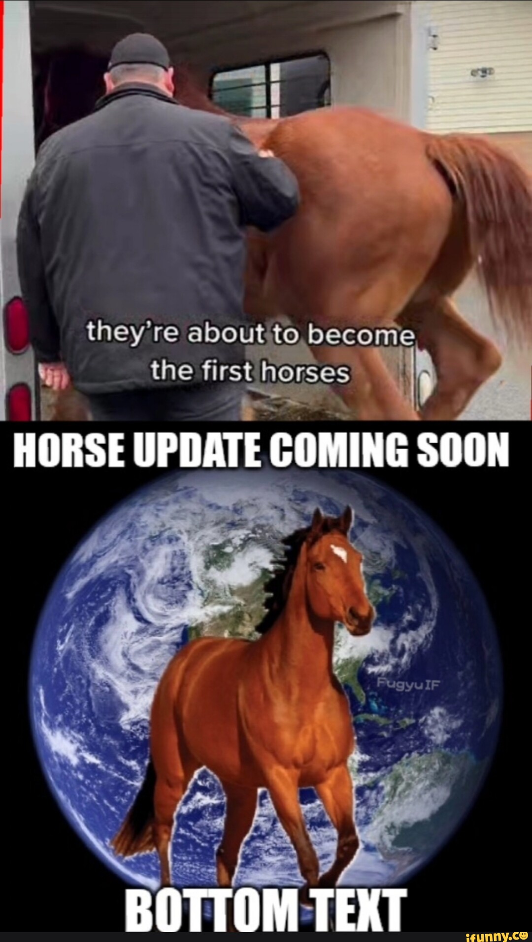 They're about to the first horses HORSE UPDATE COMING SOON