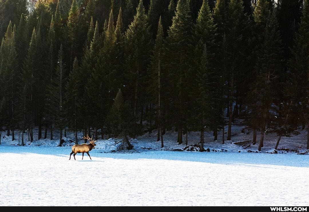 canada, winter