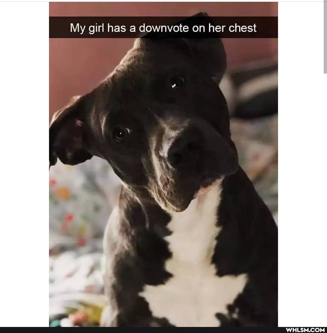 My girl has a downvote on her chest