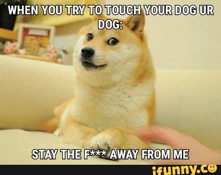 WHEN YOU TRY TO TOUCH YOUR DOG UR DOG:
STAY THE F*** AWAY FROM ME