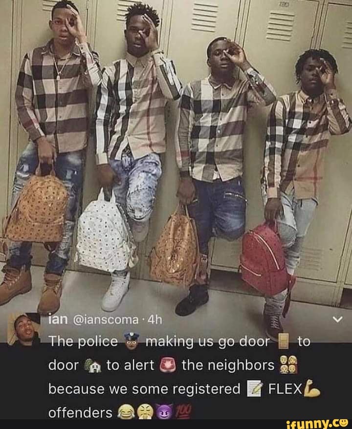 Flex memes. Best Collection of funny Flex pictures on iFunny