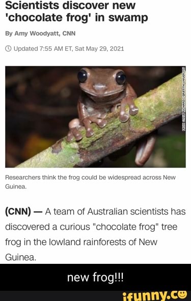 Chocolate frog' discovered in swamp