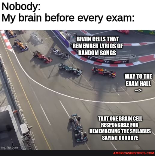 Nobody:
My brain before every exam:
BRAIN CELLS THAT REMEMBER LYRICS OF RANDOM SONGS WAY TO THE EXAM HALL
wA\
'THAT ONE BRAIN CELL RESPONSIBLE FOR REMEMBERING THE SYLLABUS
'SAYING GOODBYE