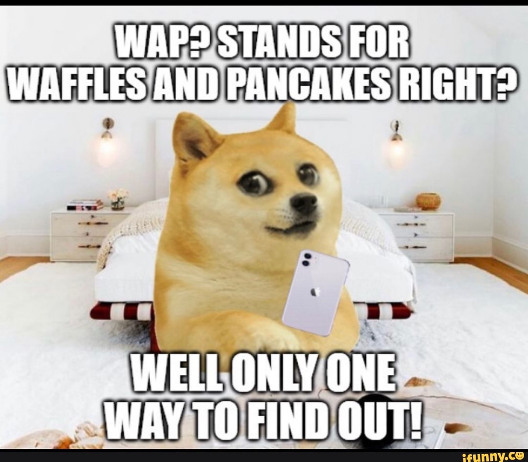 Wap Stands For Waffles And Pancakes Right Welloniyone Way Tofind Out