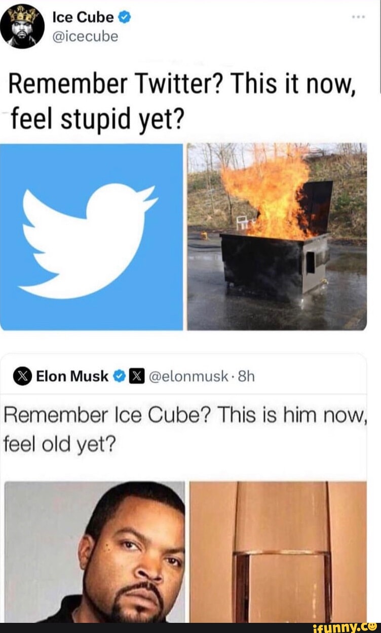 Ice Cube Easily Out-Memes Elon Musk in Response to 'Feel Old Yet