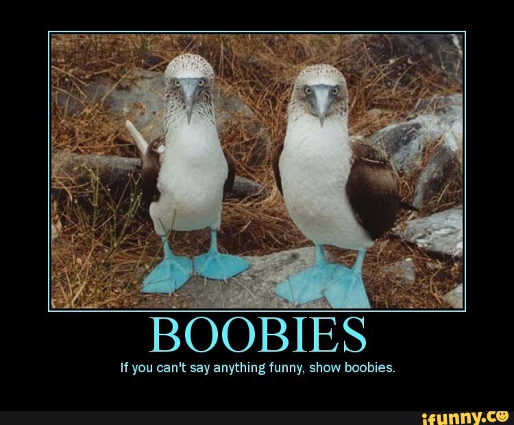 BOOBIES If you can't say anything funny, show boobies. 