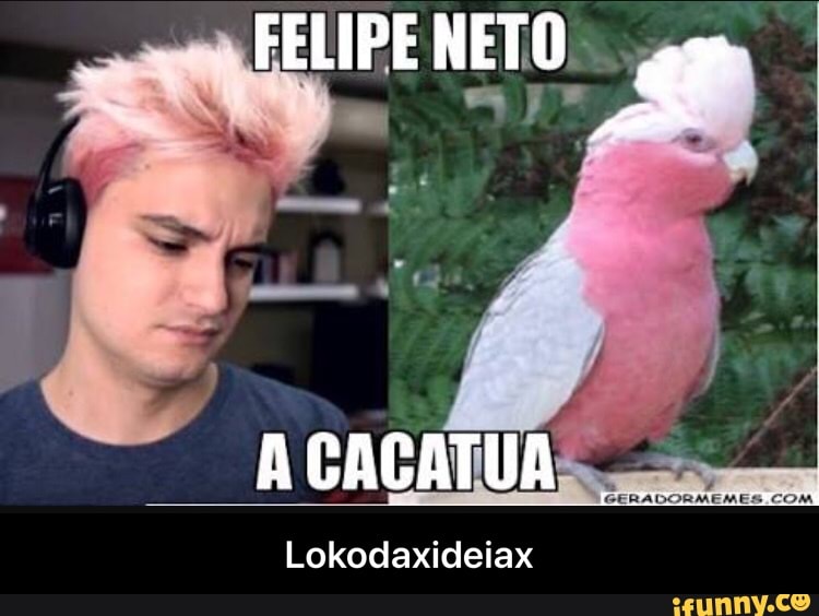 FELIPE NETO...
Lokodaxideiax - Lokodaxideiax