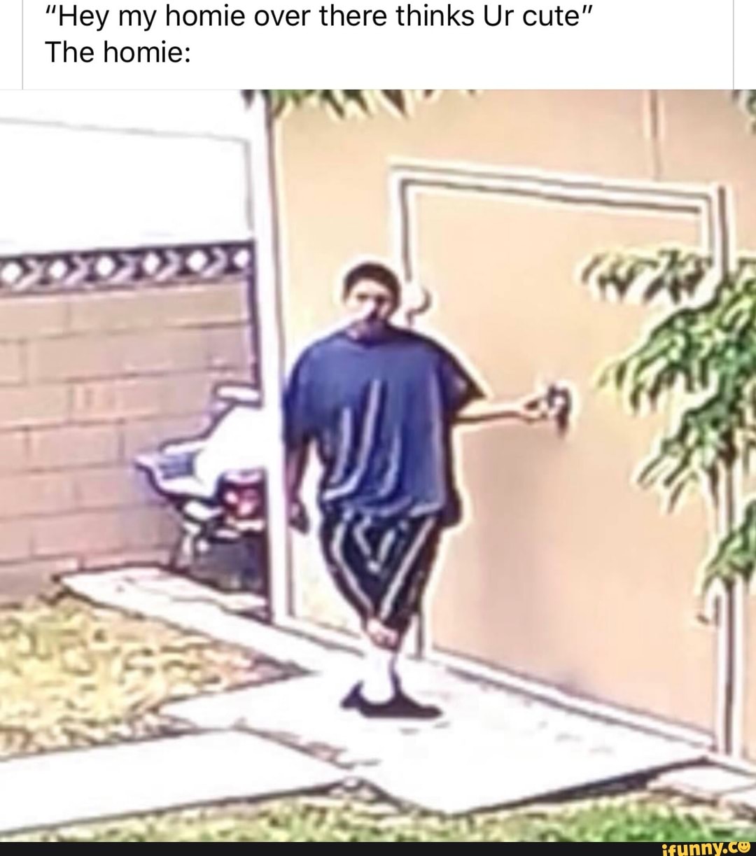 "Hey my homie over there thinks Ur cute" The homie: TEST - iFunny