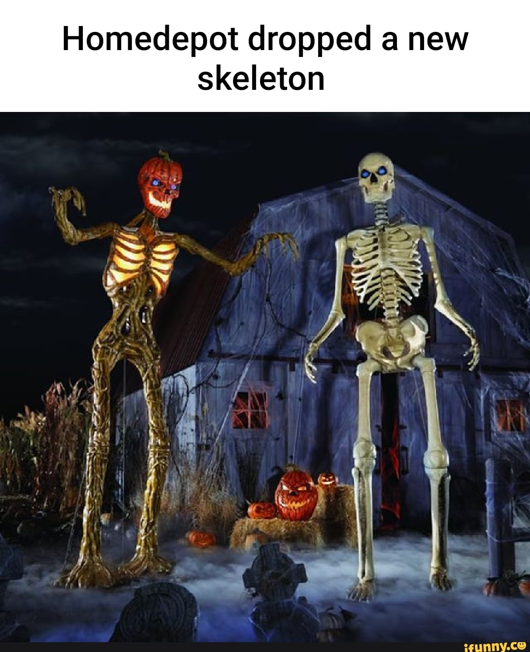 Homedepot dropped a new skeleton - iFunny
