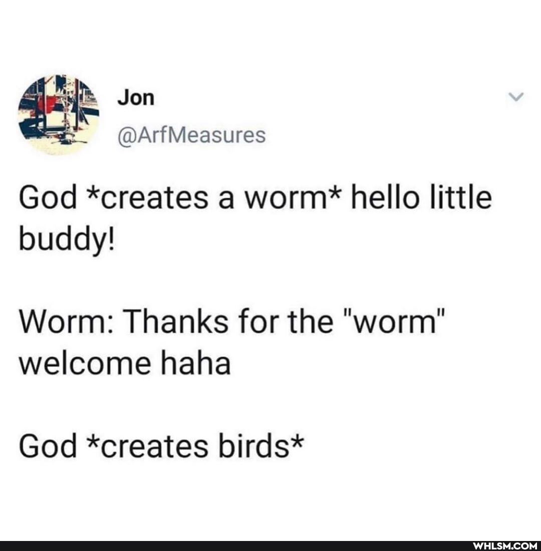 Jon
God *creates a worm* hello little buddy!
Worm: Thanks for the "worm' welcome haha
God *creates birds*