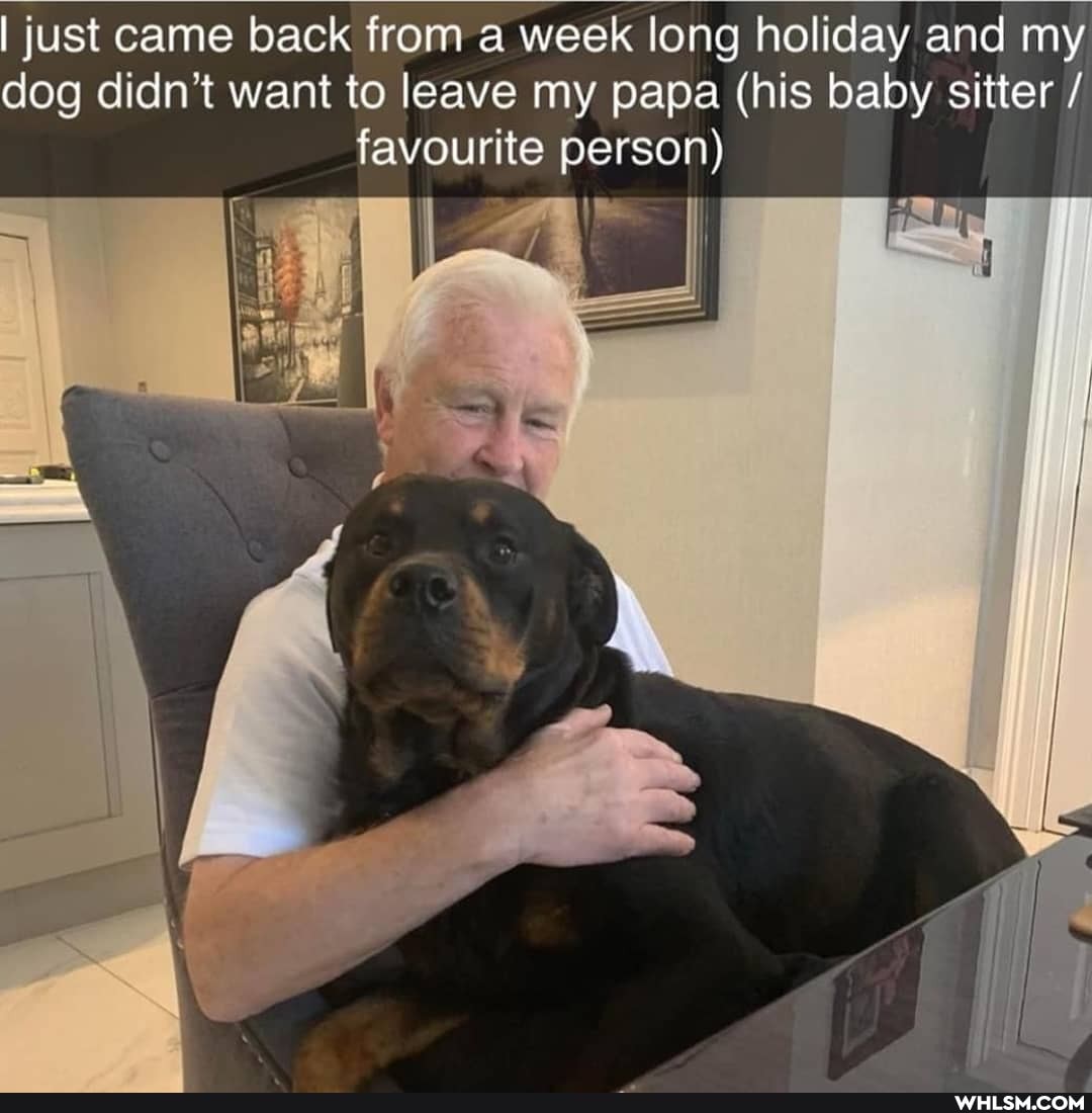 I just came back from a week long holiday and my dog didn't want to leave my papa (his baby sitter / favourite person)
