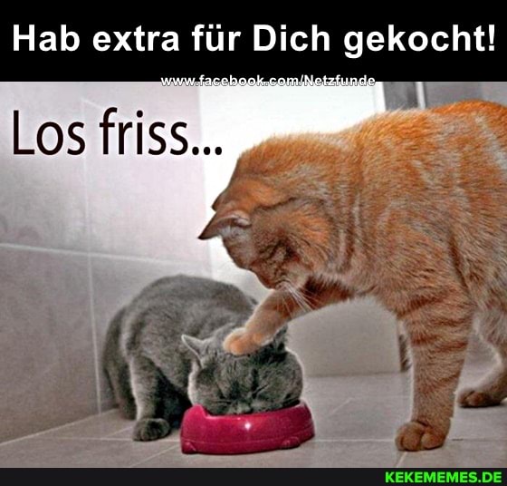 Hab extra für Dich gekocht!
www.
Los friss...
