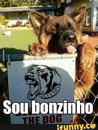 sou bonzinho
PR