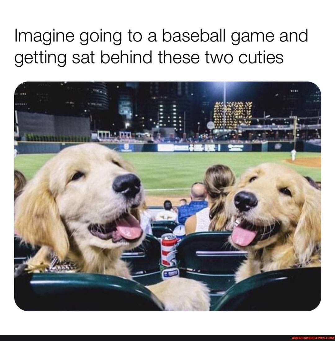 Imagine going to a baseball game and getting sat behind these two cuties