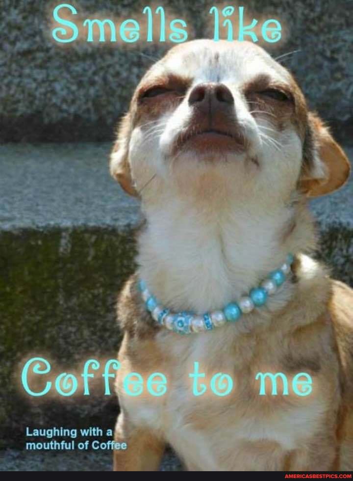 YO
aA
The
Laughing with a mouthful of Coffee