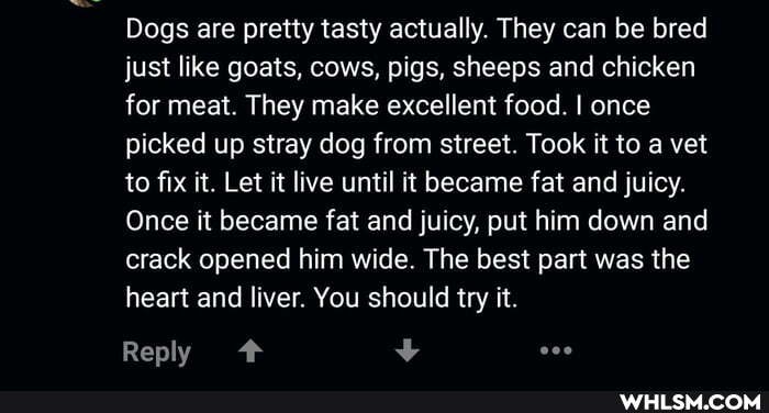 Dogs are pretty tasty actually. They can be bred just like goats, cows, pigs, sheeps and chicken for meat. They make excellent food. I once picked up stray dog from street. Took it to a vet to fix it. Let it live until it became fat and juicy.
Once it became fat and juicy, put him down and crack opened him wide. The best part was the heart and liver. You should try it.
Reply