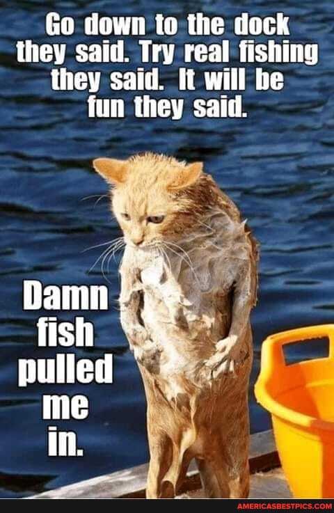 Go down to the dock they said. Try real fishing they said. It will be fun they said.
fish fish pulled me in.
Ni