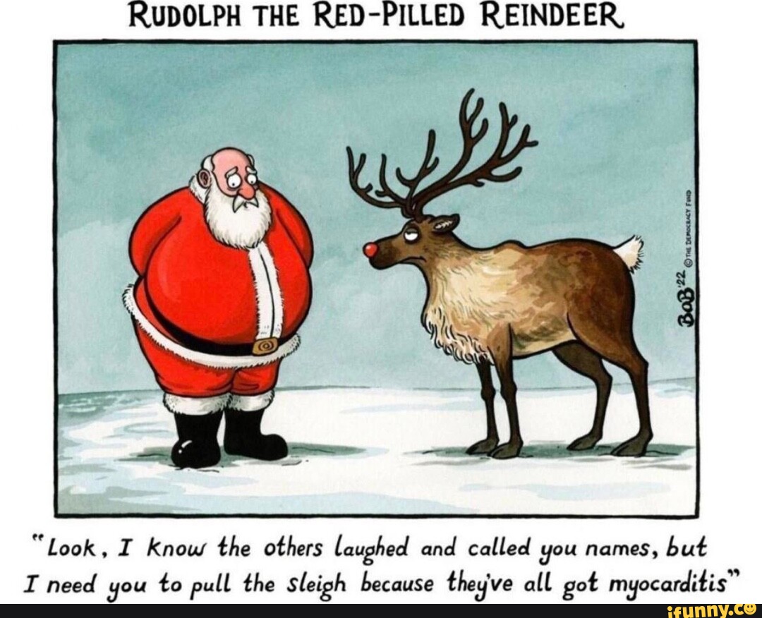 Rudolph Reindeer Jokes