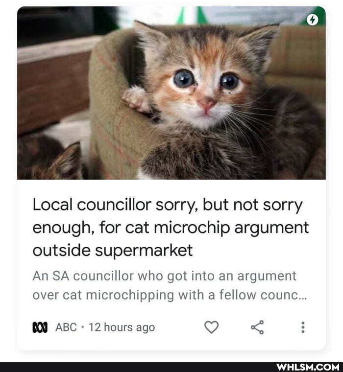 Local councillor sorry, but not sorry enough, for cat microchip argument outside supermarket
An SA councillor who got into an argument over cat microchipping with a fellow counc...
ABC 12 hours ago