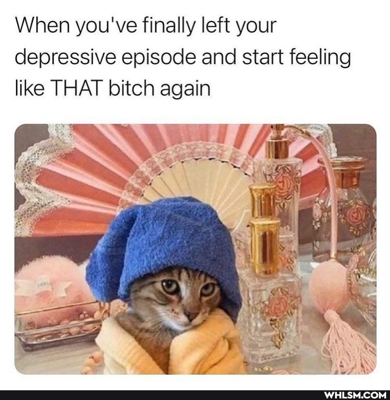 When you've finally left your depressive episode and start feeling like THAT bitch again