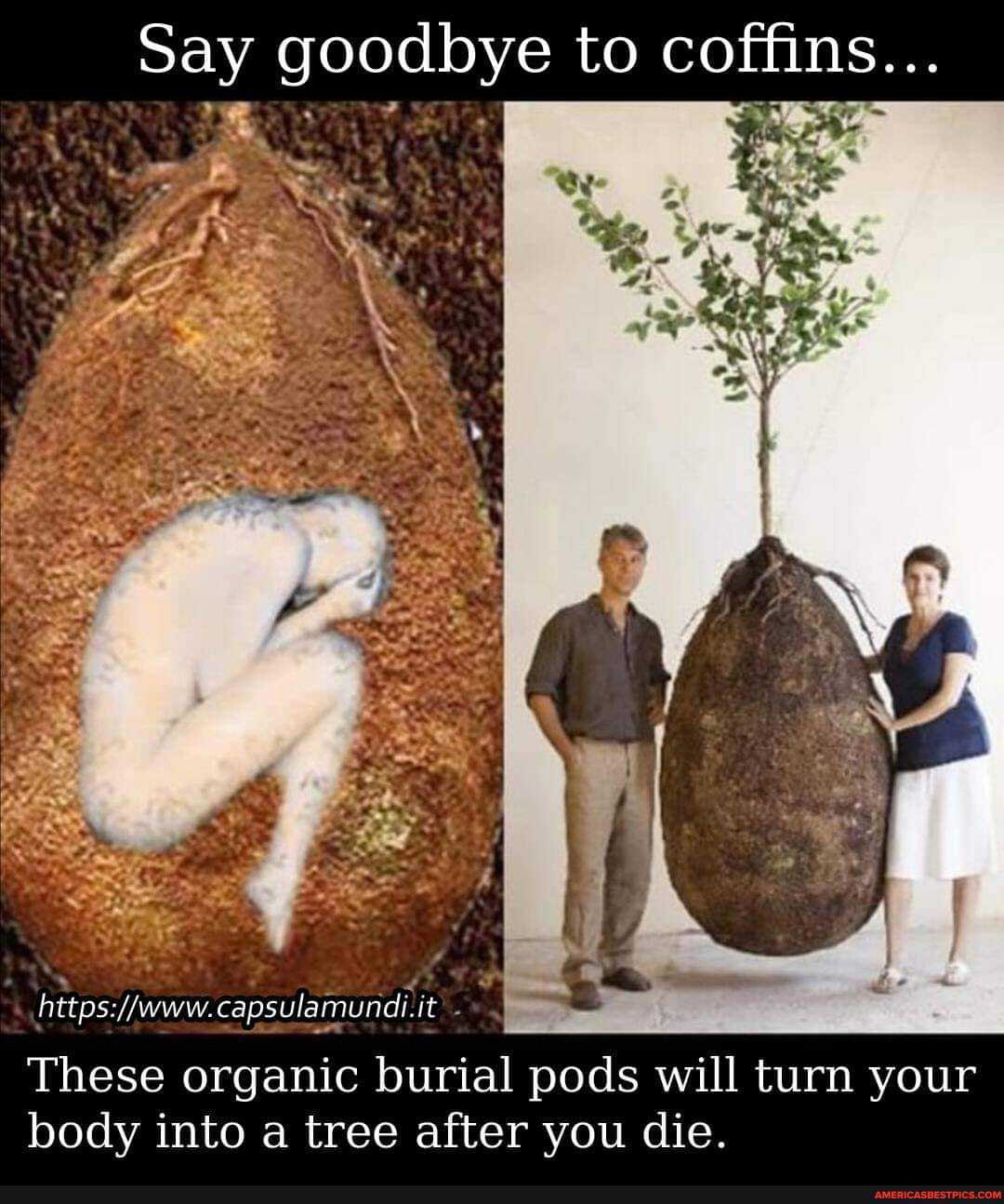 Say goodbye to coffins...
capsulamundi.it
These organic burial pods will turn your body into a tree after you die.