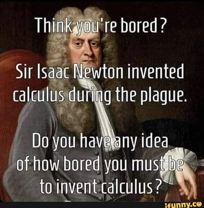 Think Youre Bored Si Isaac Newton Invented Calculus During The Plaque No You Have Any Idea Of 9256