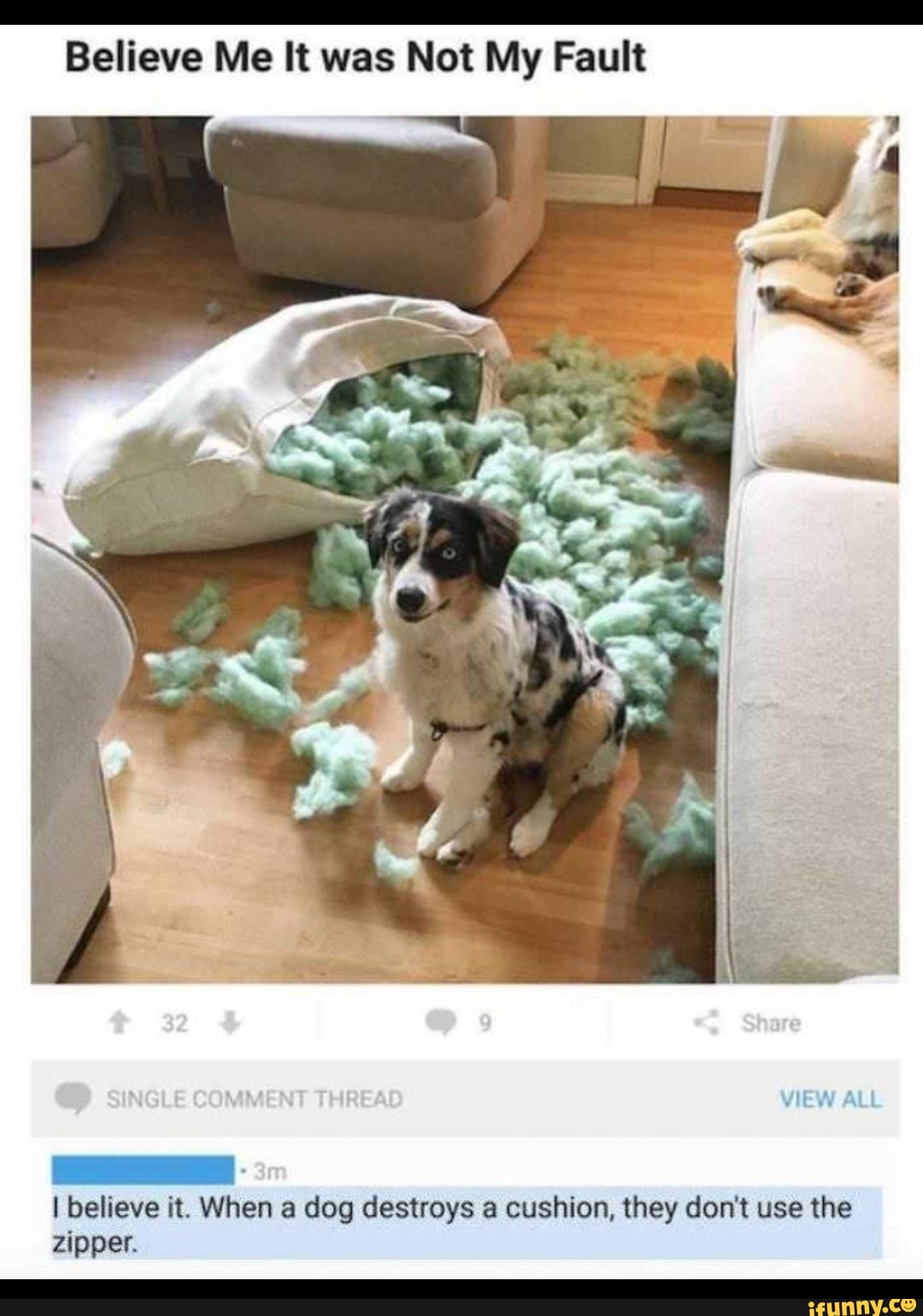 Believe Me It was Not My Fault I believe it. When a dog destroys a