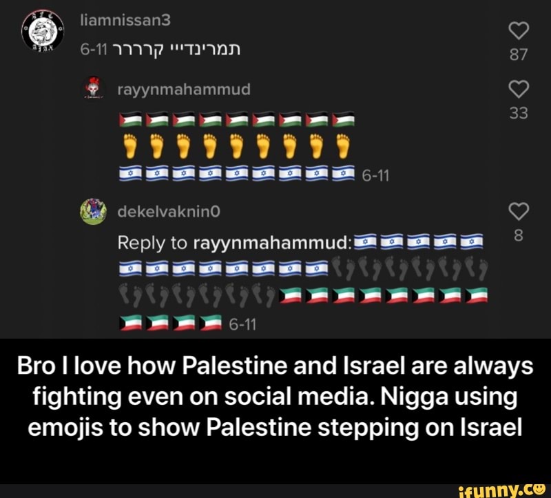 Bro I love how Palestine and Israel are always fighting even on social ...