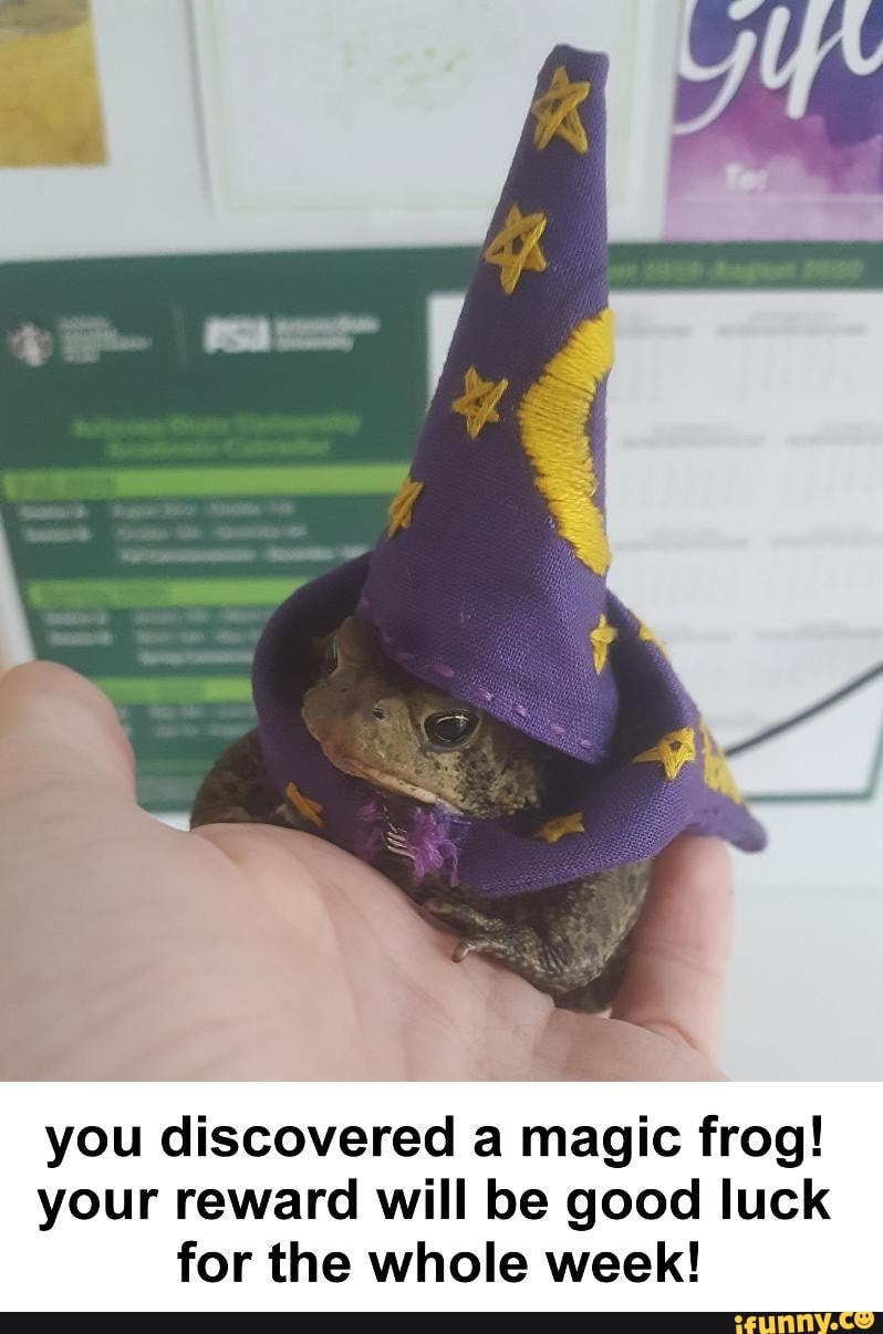 You discovered a magic frog! your reward will be good luck for the