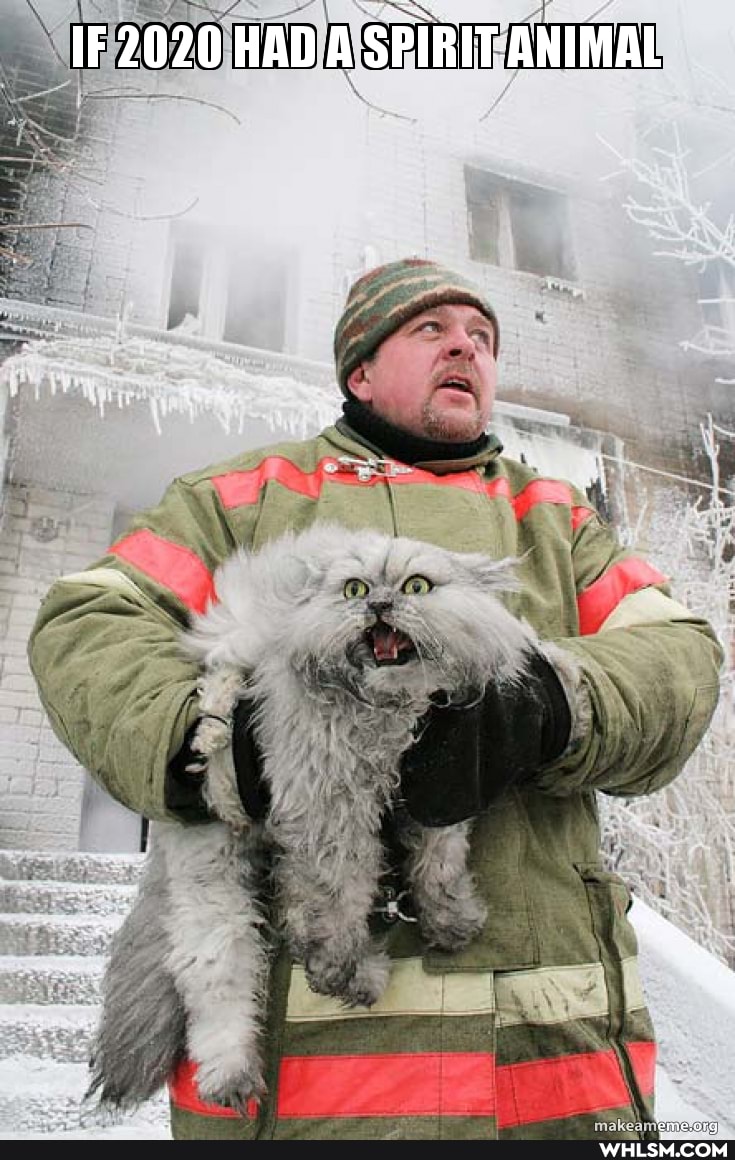 IF 2020 HAD A SPIRIT ANIMAL