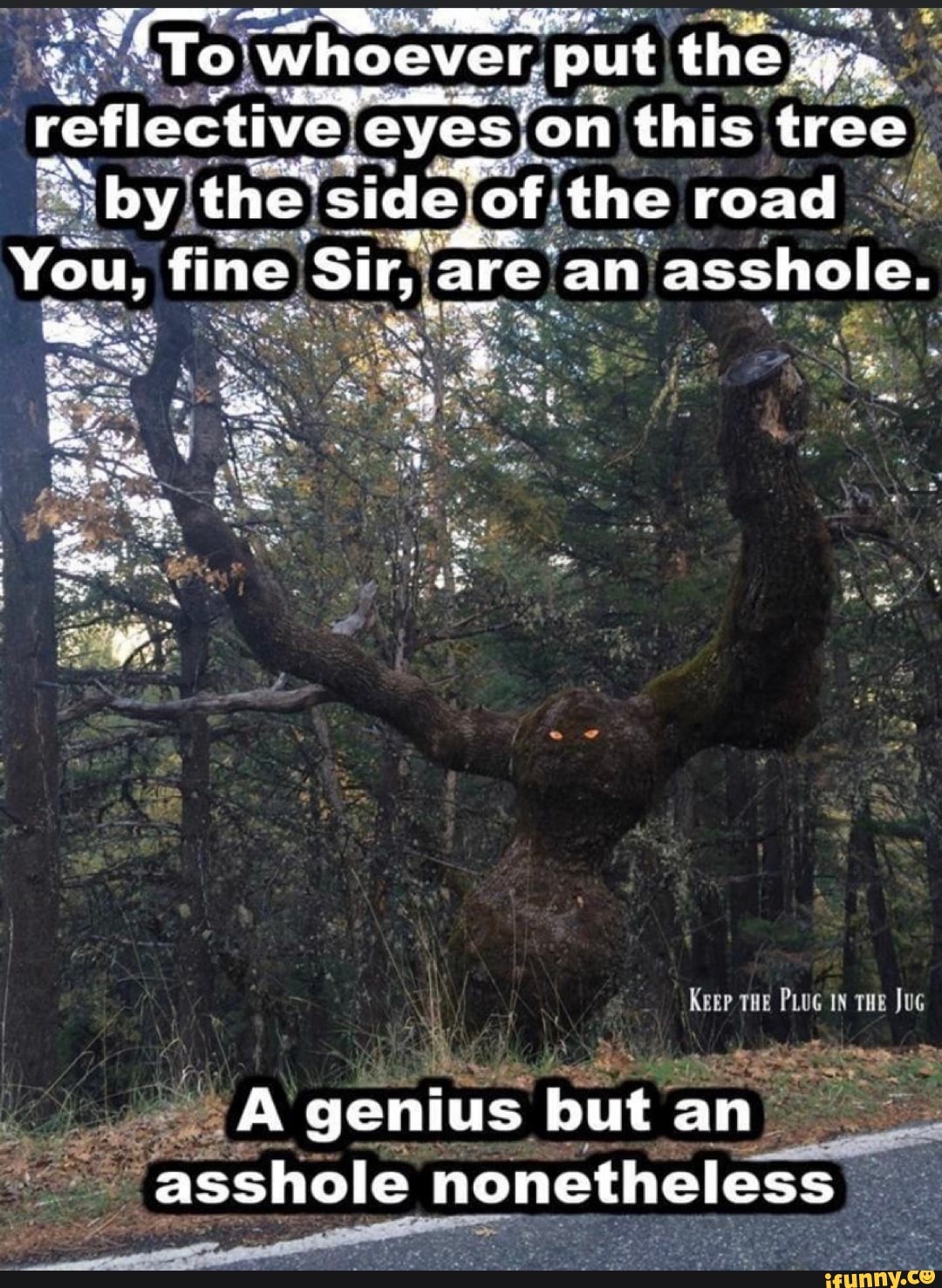 ou iteiwhcever put the)
reflective eyesjon this.
tree,
E
asshole nonetheless I PE y