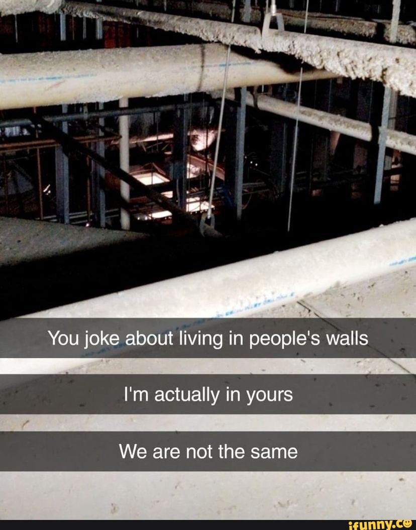 You joke about living in people's walls I'm actually in yours We are