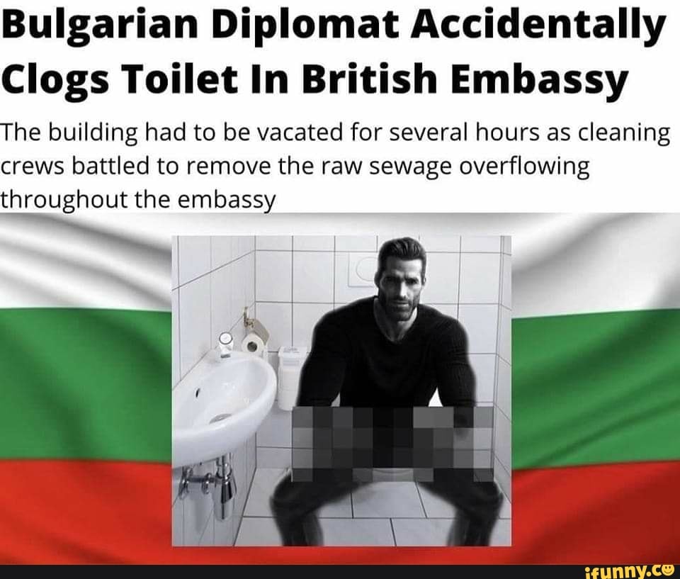 Bulgarian Diplomat Accidentally Clogs Toilet In British Embassy The