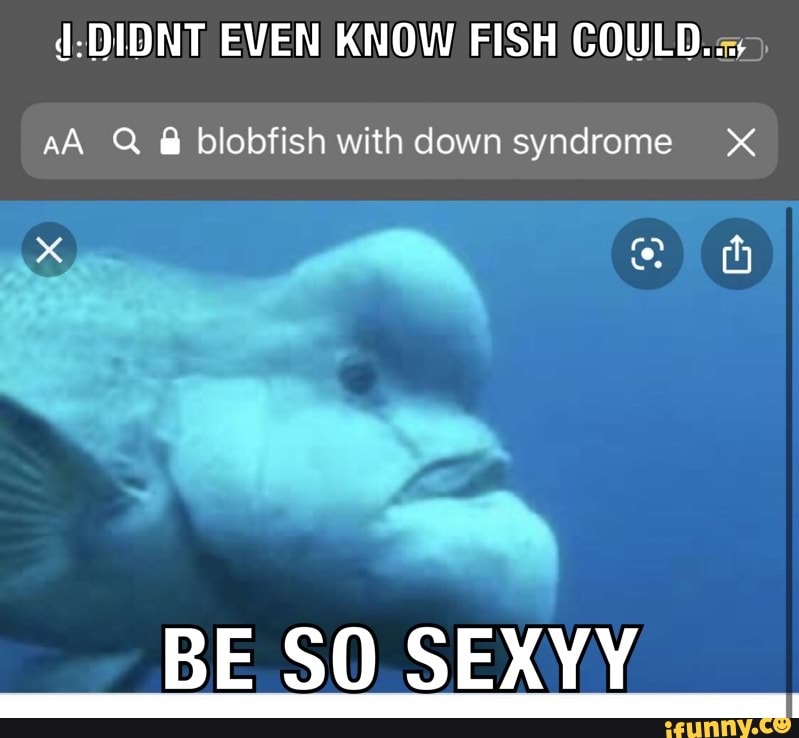 DDIDNT EVEN KNOW FISH COULD =, AA Q blobfish with down syndrome X BE SO SEXYY iFunny