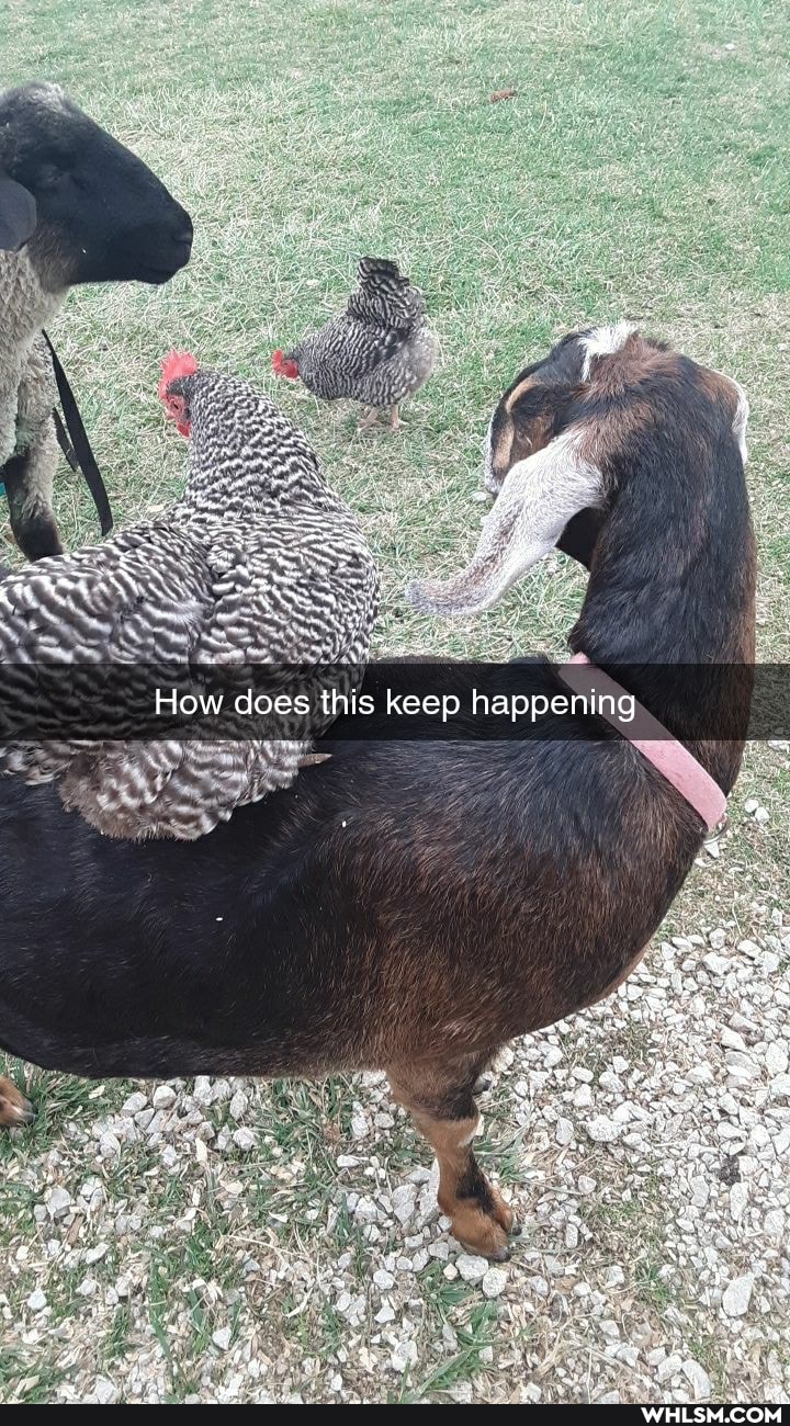 How does this keep happening