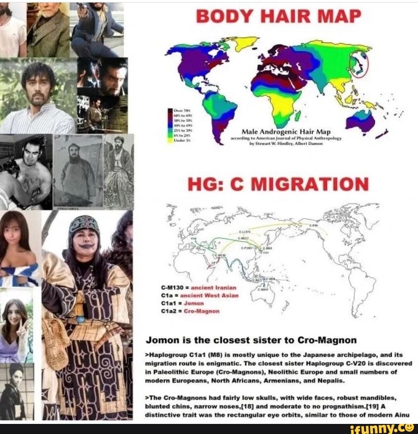 BODY HAIR MAP 'Male Androgenic Hair Map No Mney Ale HG: C MIGRATION C-M130  = ancient