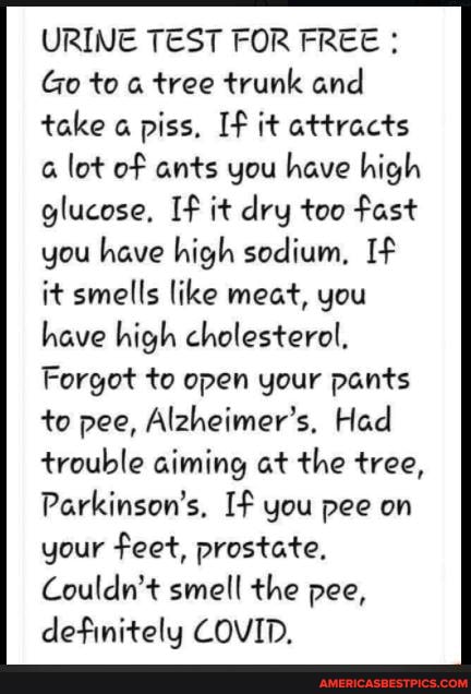 URINE TEST FOR FREE :
Go to tree trunk and
take piss, If it attracts lot of ants you have high glucose, If it dry too fast you have high sodium, If it smells like meat, you have high cholesterol,
Forgot to open your pants to pee, Alzheimer's. Had trouble aiming at the tree,
Parkinson's, If you pee on your feet, prostate,
Couldn't smell the pee, definitely COVID.