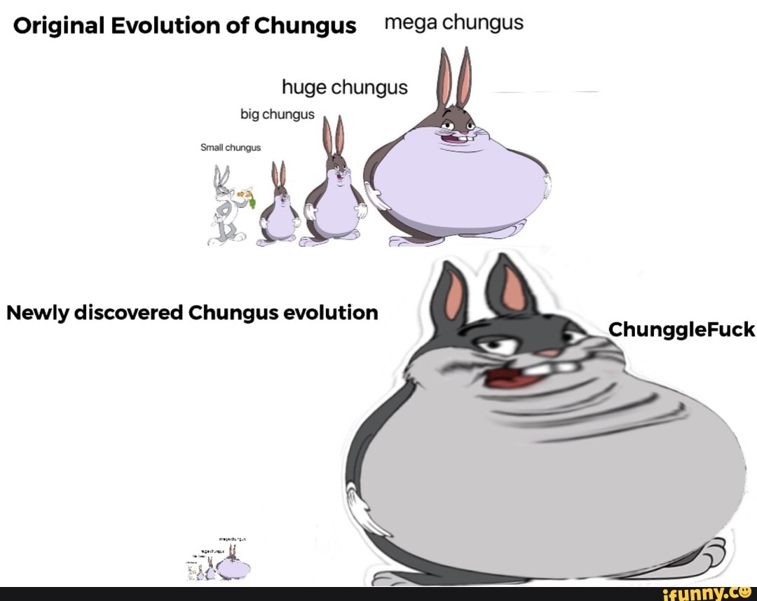 Original Evolution Of Chungus Mega Chungus Huge Chungus Big Chungus