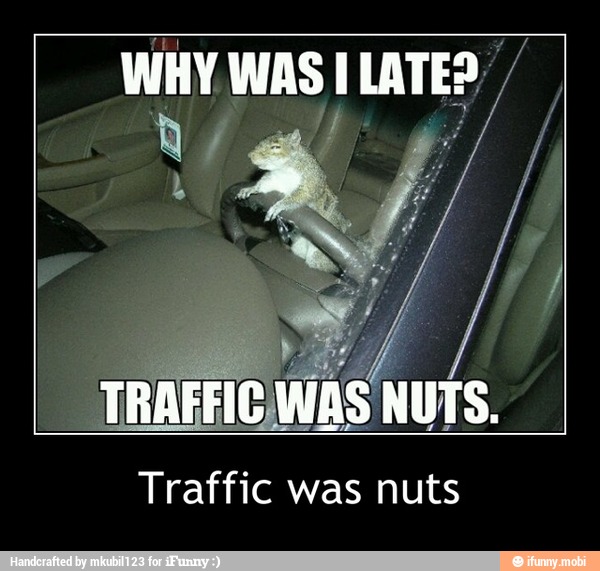 Traffic was nuts - Traffic was nuts