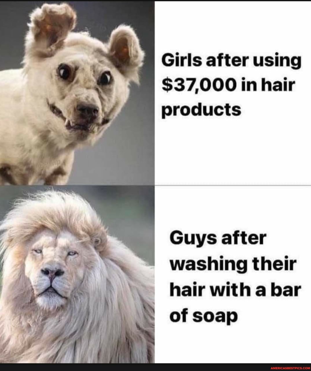 Girls after using
$37,000 in hair products
Guys after
washing their hair with a bar of soap