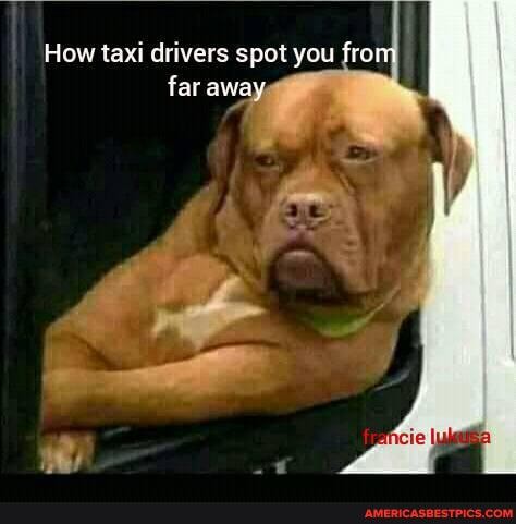 How taxi drivers spot you fro
far away