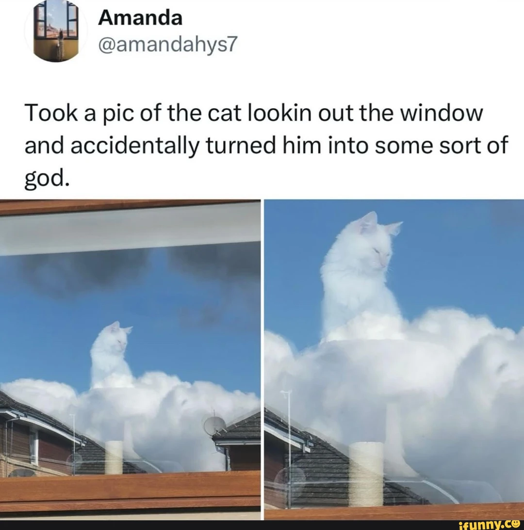 Took a pic of the cat lookin out the window and accidentally turned him into some sort of god.