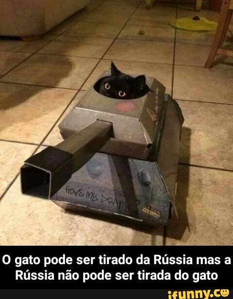 O gato pode ser tirado da Rússia mas a
Rússia não pode ser tirada do gato - O gato pode ser tirado da Rússia mas a Rússia não pode ser tirada do gato