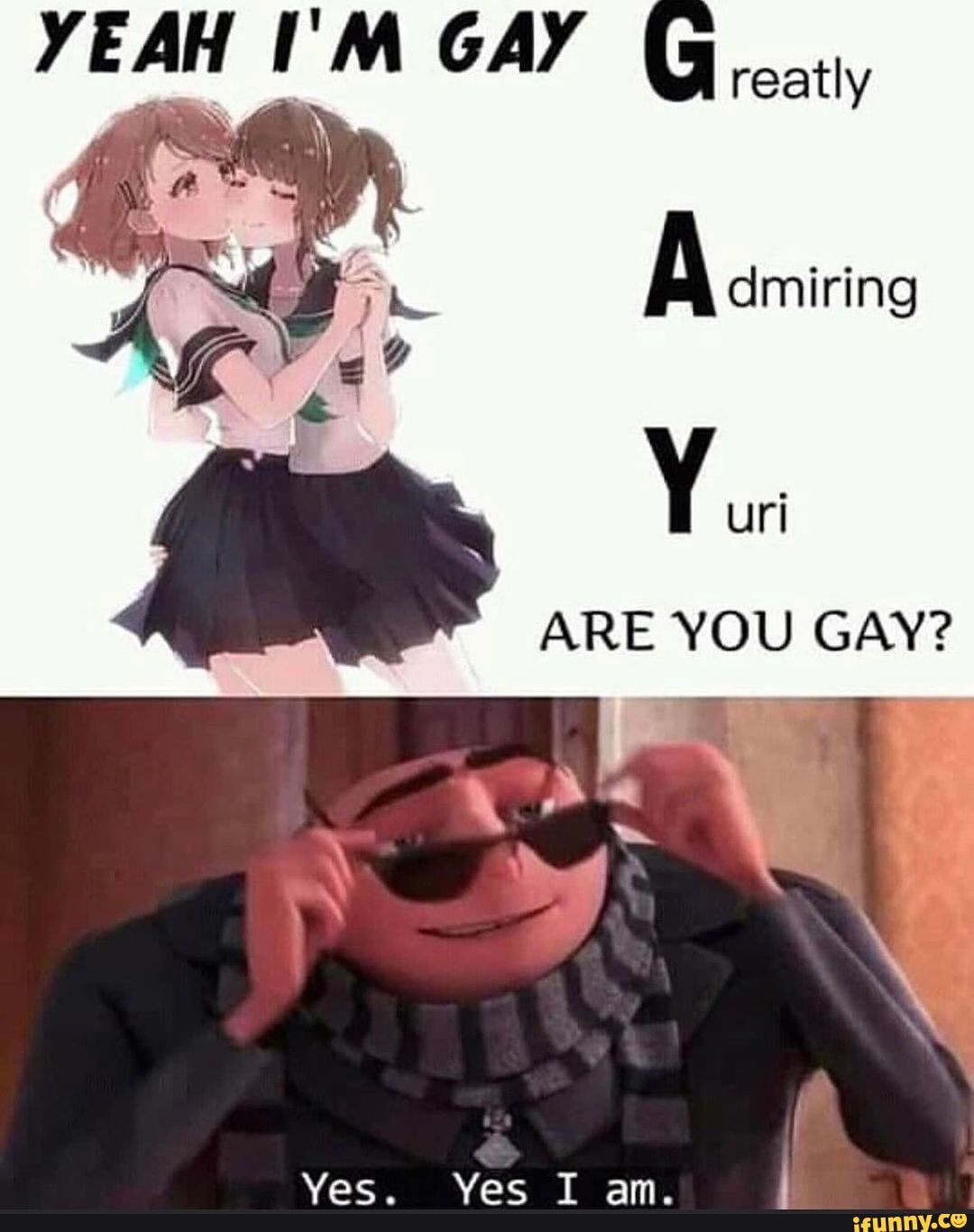 why are you gay memes ifunny