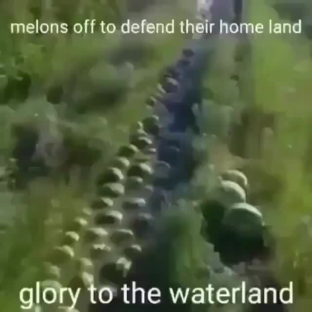 Glory to waterland melons off to. defend their home land )