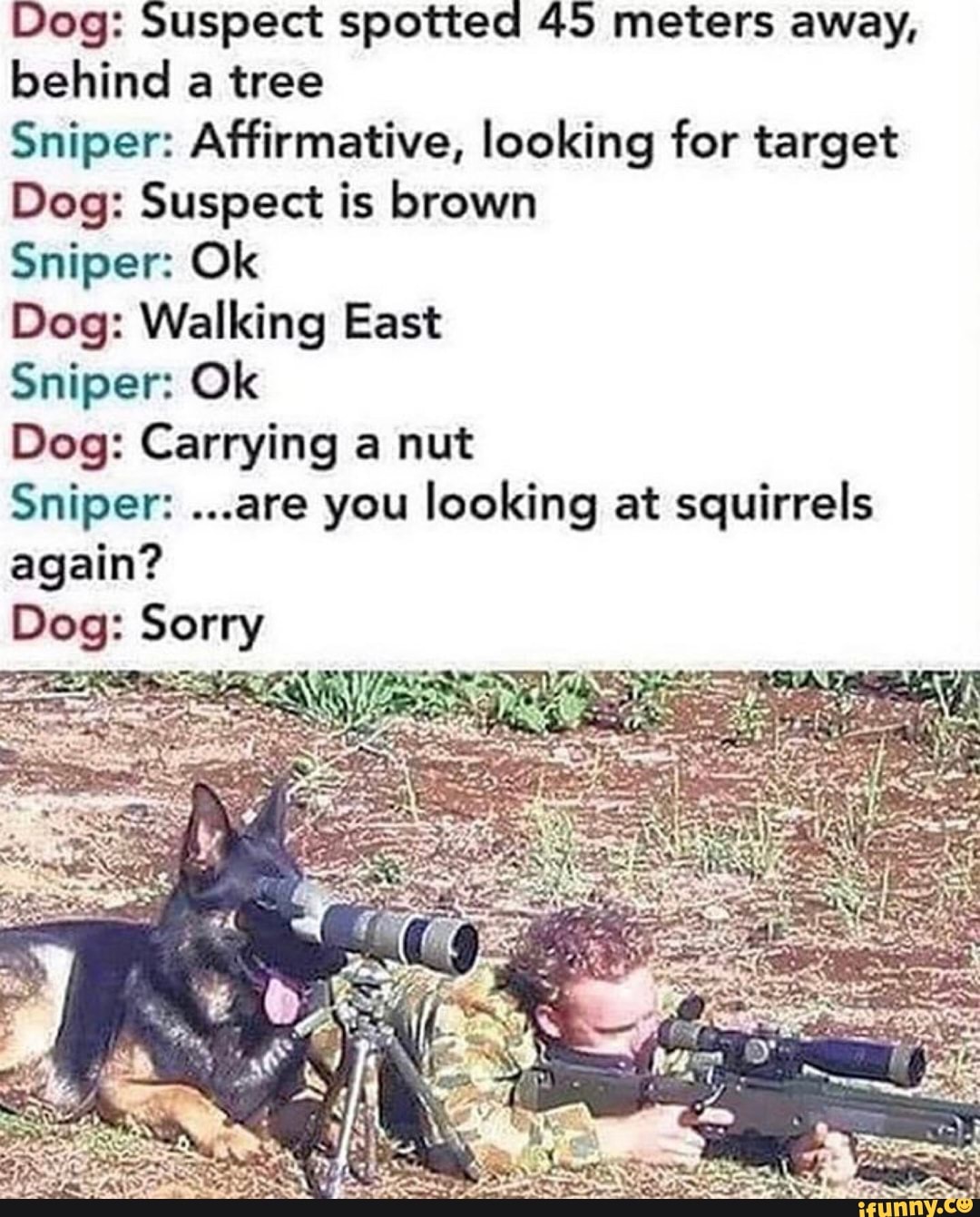 Dog: Suspect spotted 45 meters away, behind a tree
Sniper: Affirmative, looking for target
Dog: Suspect is brown
Sniper: Ok
Dog: Walking East
Sniper: Ok
Dog: Carrying a nut
Sniper: ...are you looking at squirrels again?
WAS
Dog: Sorry