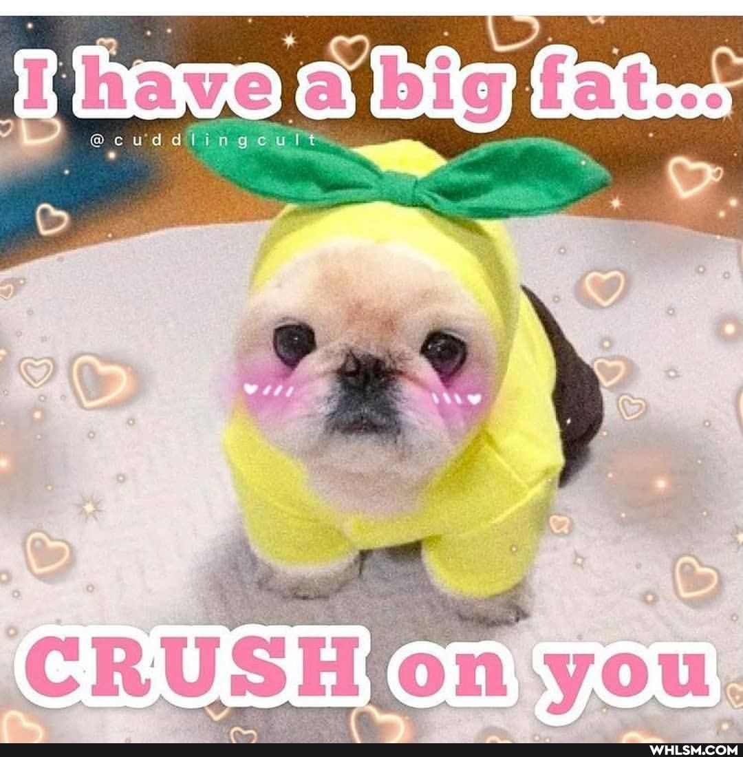 Big
CRUSE you