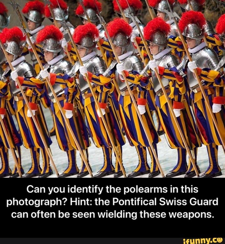 Can you identify the polearms in this photograph? Hint: the Pontifical ...