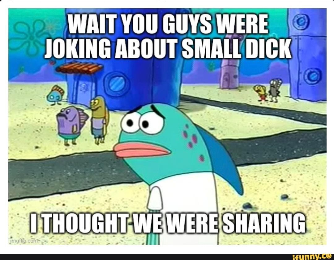 WAIT YOU GUYS WERE JOKING ABOUT SMALL DICK THOUGHT WE WERE SHARING - iFunny