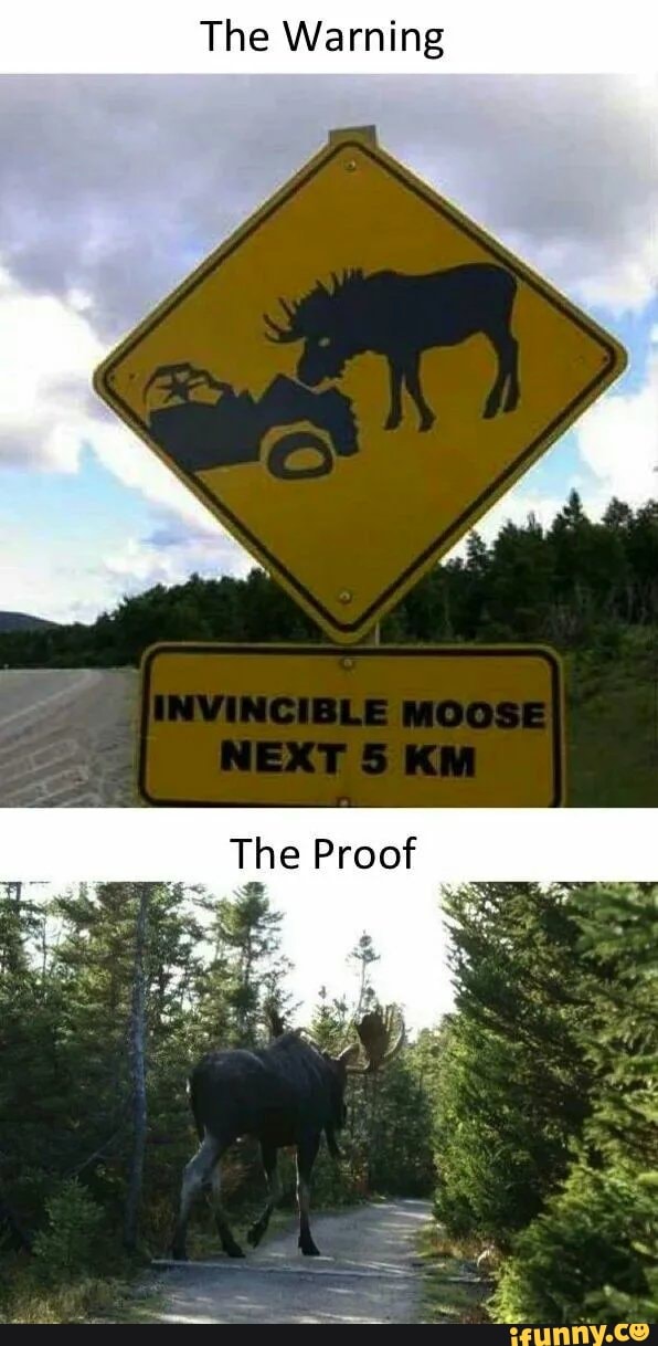 The Warning
The Proof